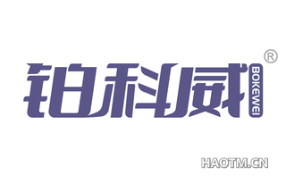 铂科威 