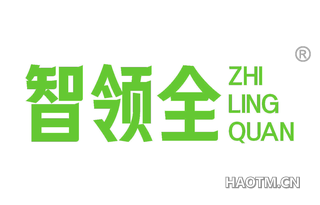 智领全