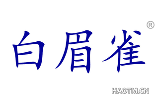 白眉雀