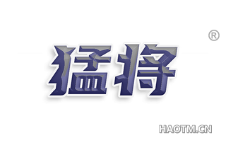 猛将