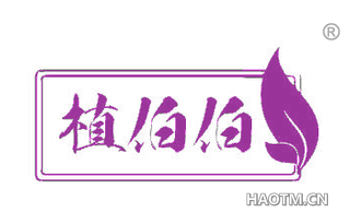 植伯伯