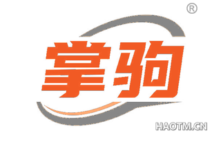 掌驹