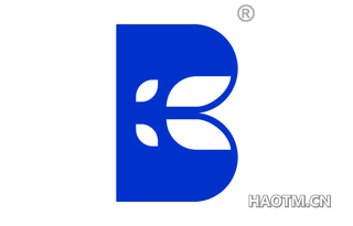 B图形