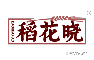 稻花晓