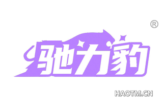 驰力豹