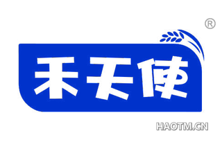 禾天使