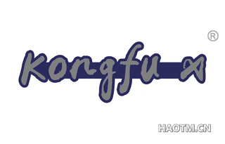 KONGFU X