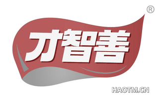 才智善