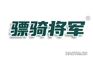 骠骑将军