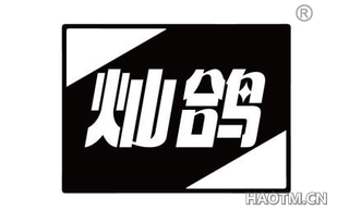 灿鸽