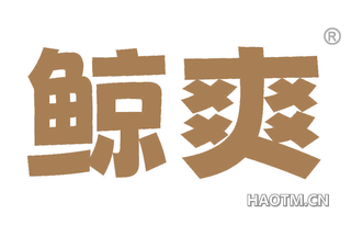 鲸爽