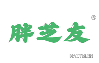 胖芝友