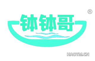 钵钵哥