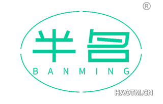 半名