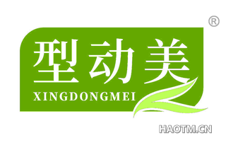 型动美
