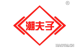 潮夫子