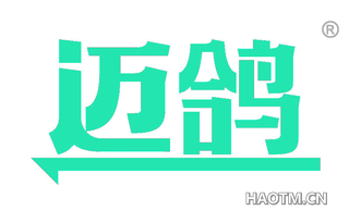 迈鸽