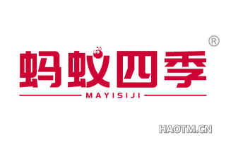 蚂蚁四季