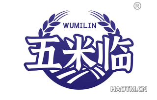 五米临