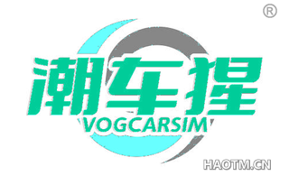 潮车猩 VOGCARSIM