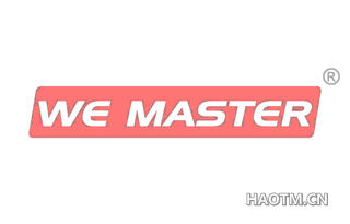 WE MASTER