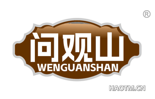 问观山