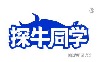 探牛同学