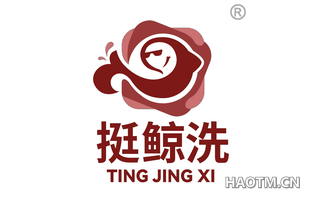 挺鲸洗