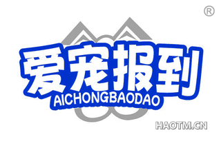 爱宠报到