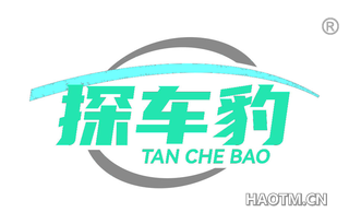 探车豹