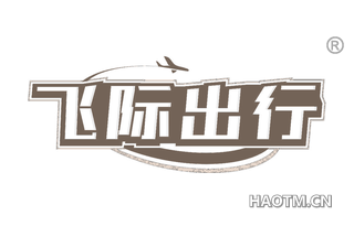 飞际出行