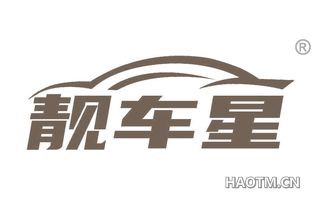靓车星
