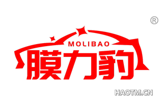 膜力豹