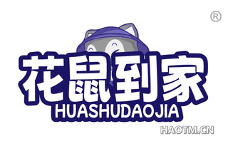 花鼠到家