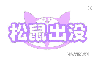 松鼠出没