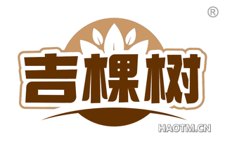 吉棵树