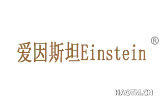 爱因斯坦 EINSTEIN