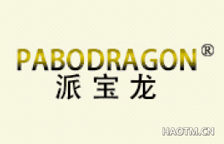 派宝龙 PABODRAGON