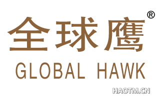 全球鹰 GLOBAL HAWK