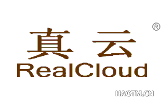 真云 REALCLOUD