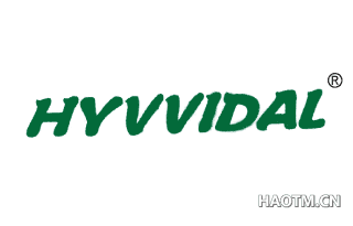 HYVVIDAL