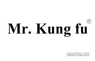 MR.KUNG FU