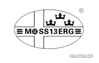 MSS13ERG