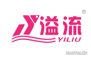 溢流 YL