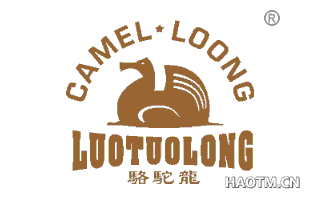 骆驼龙 CAMEL LOONG