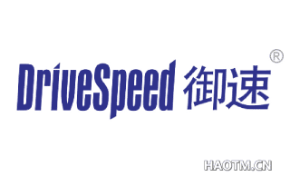 御速 DRIVESPEED