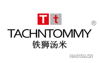 TT 铁狮汤米 TACHNTOMMY