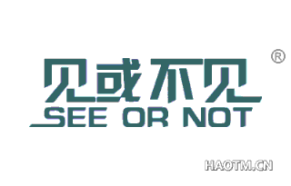 见或不见 SEE OR NOT