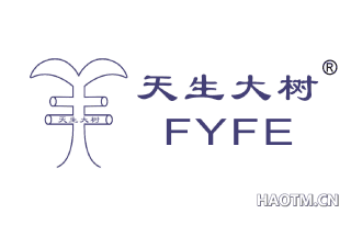 天生大树 FYFE