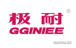 极耐 GGINIEE